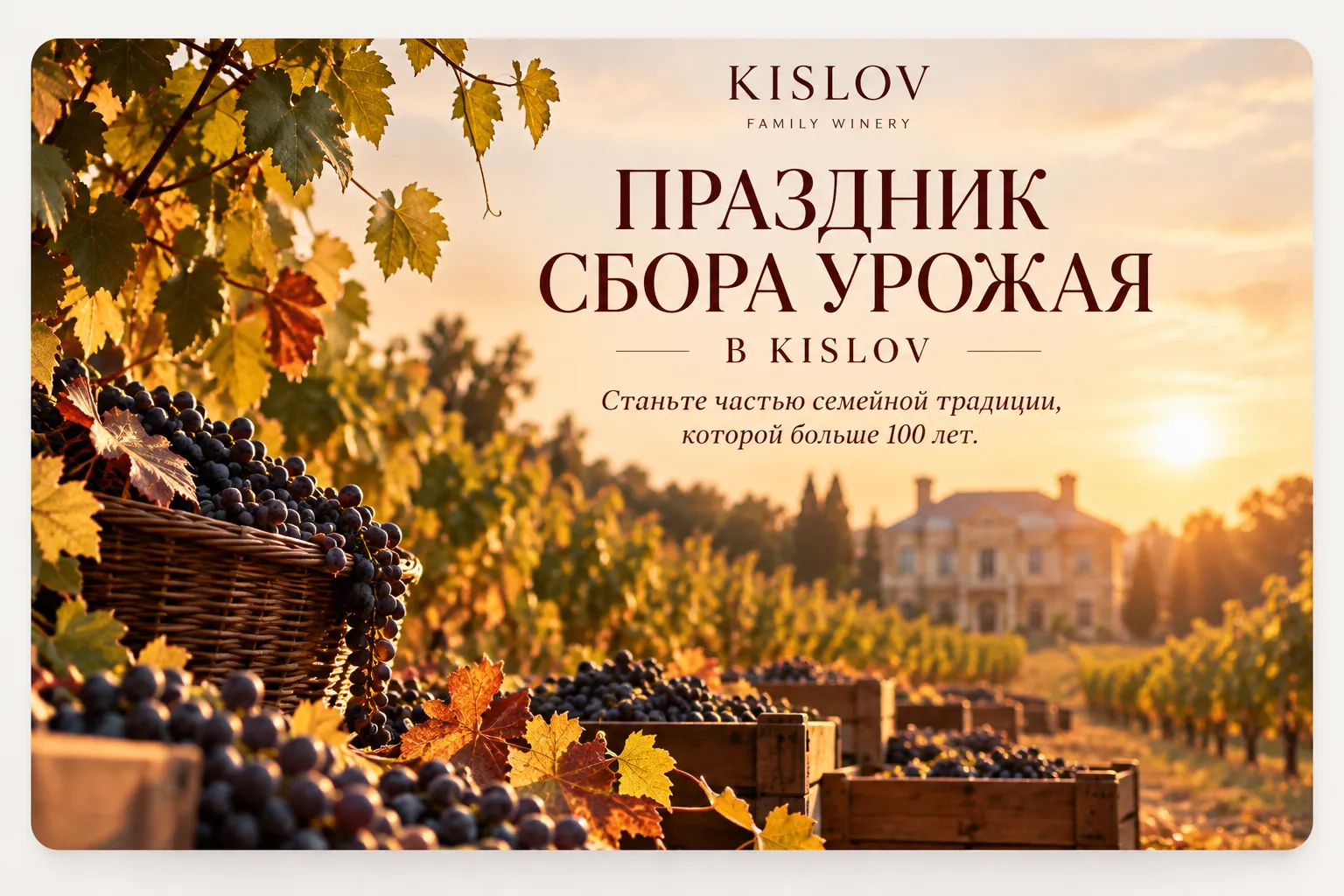 ПРАЗДНИК СБОРА УРОЖАЯ В KISLOV 🍇